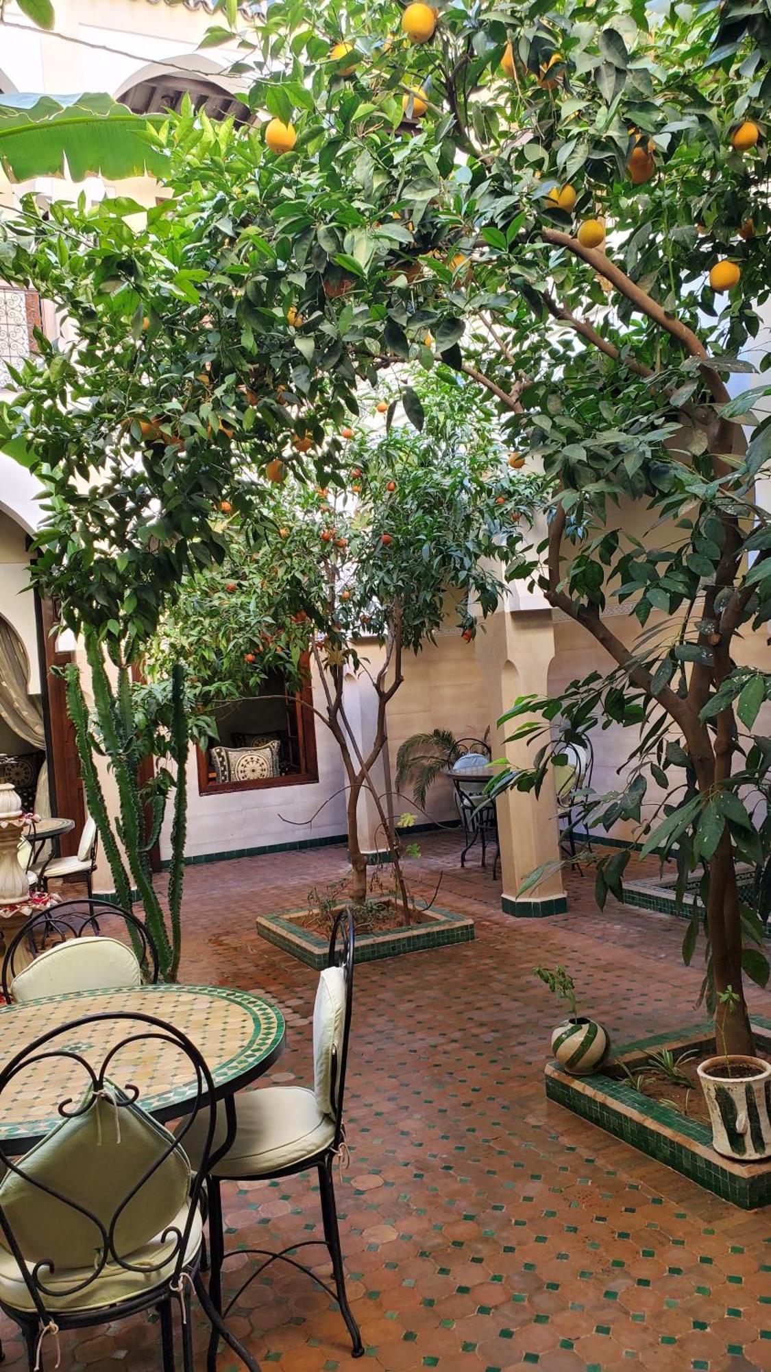 Riad Tidar By Phoenix Marrakesh Luaran gambar