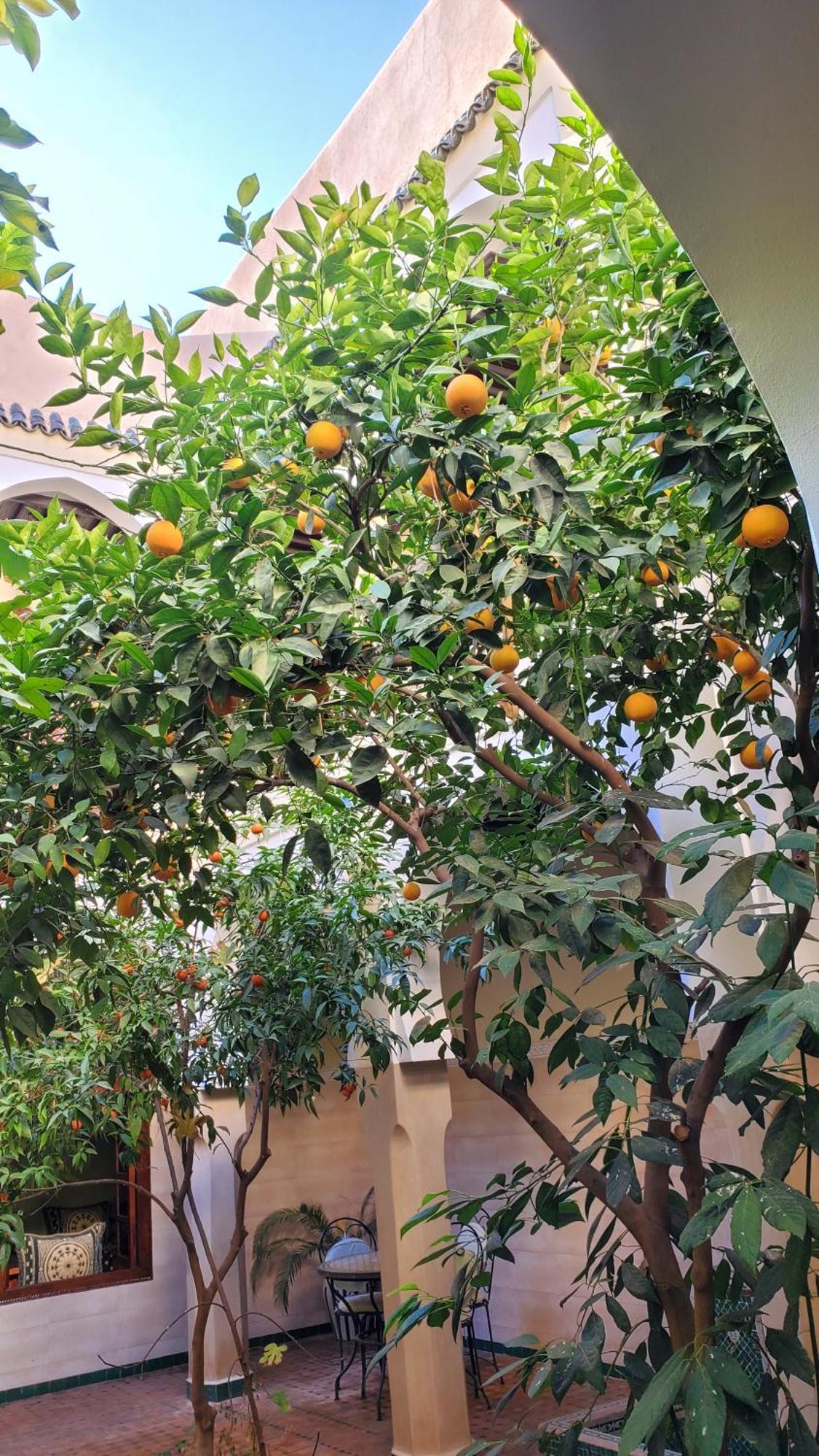 Riad Tidar By Phoenix Marrakesh Luaran gambar