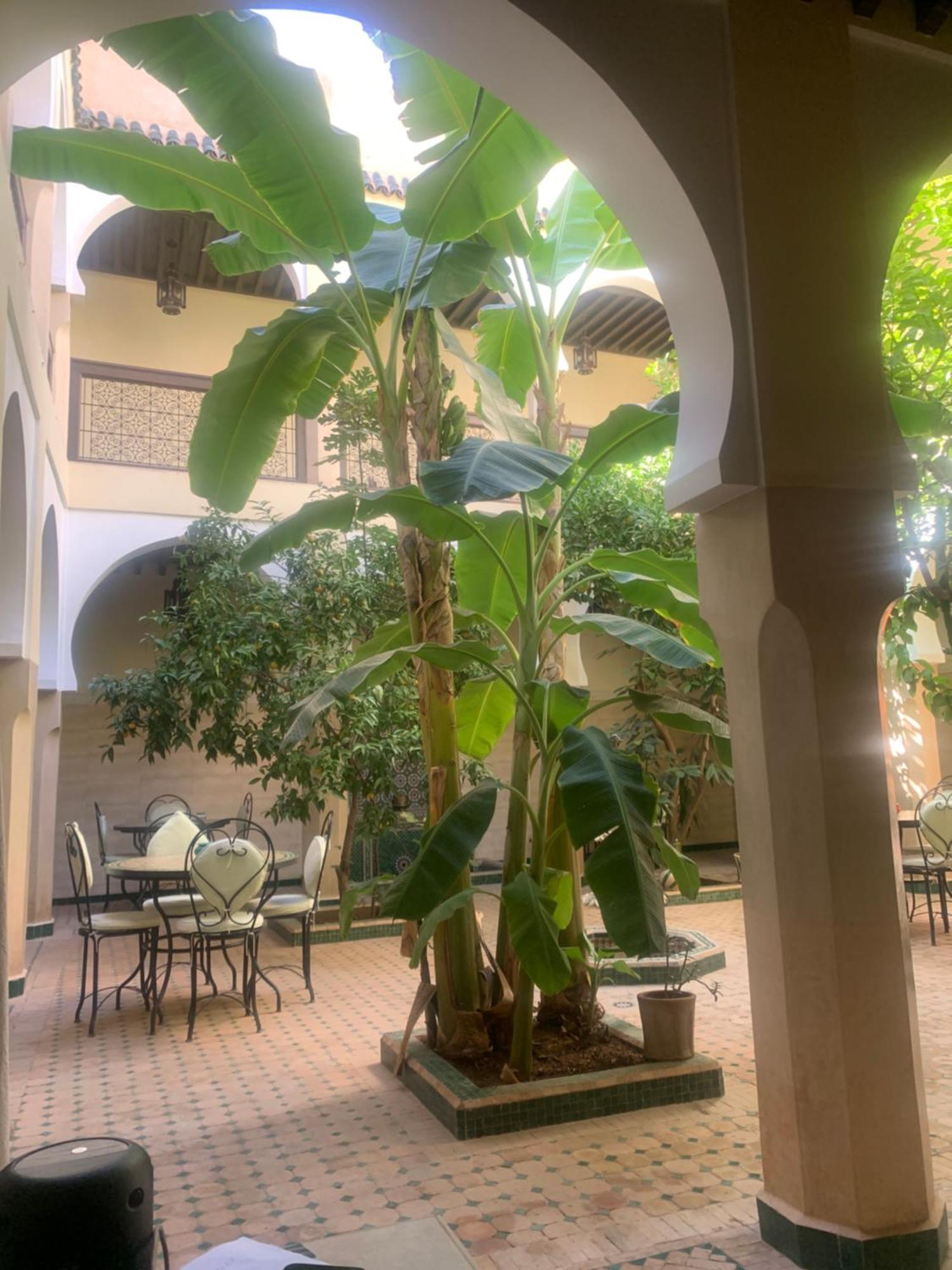 Riad Tidar By Phoenix Marrakesh Luaran gambar