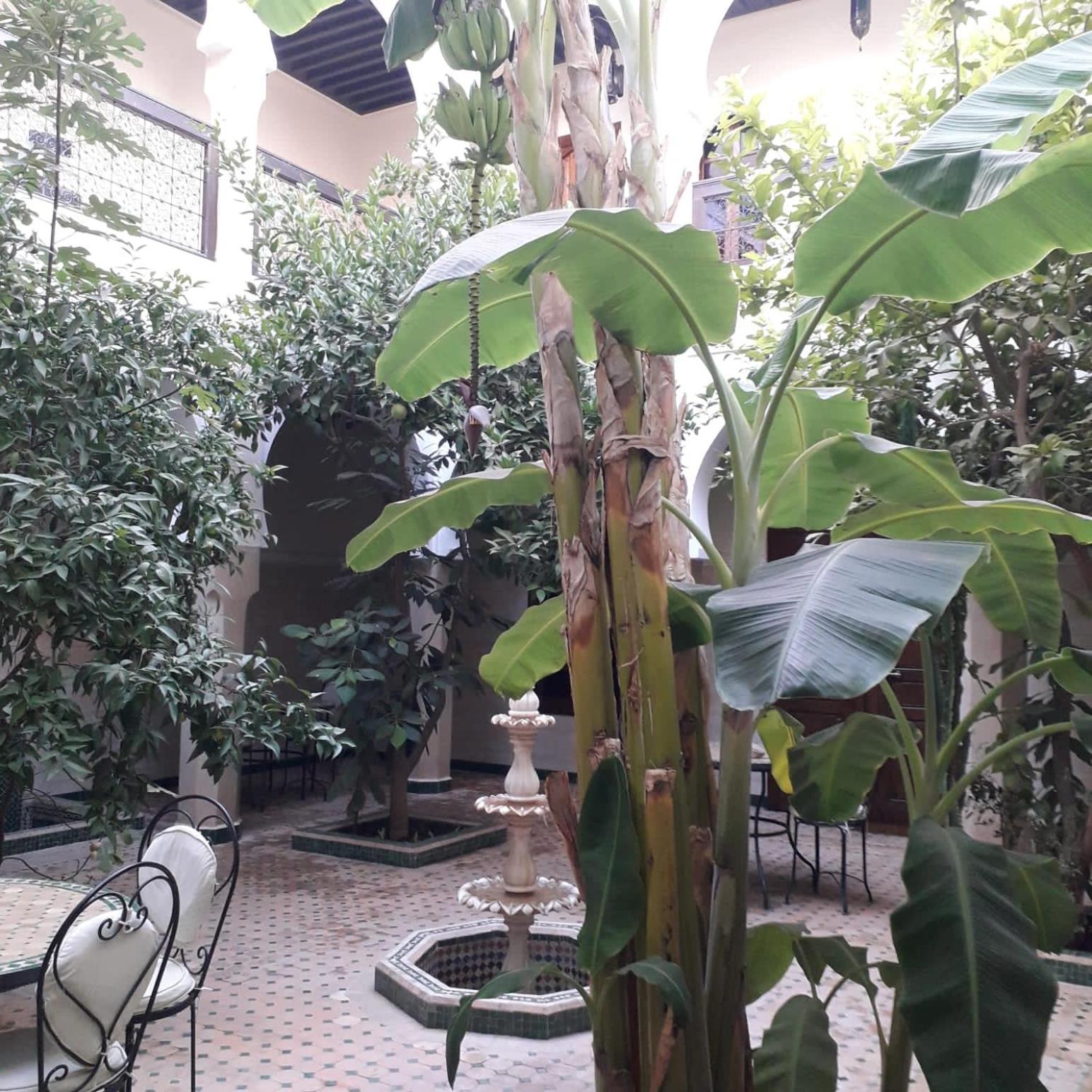 Riad Tidar By Phoenix Marrakesh Luaran gambar