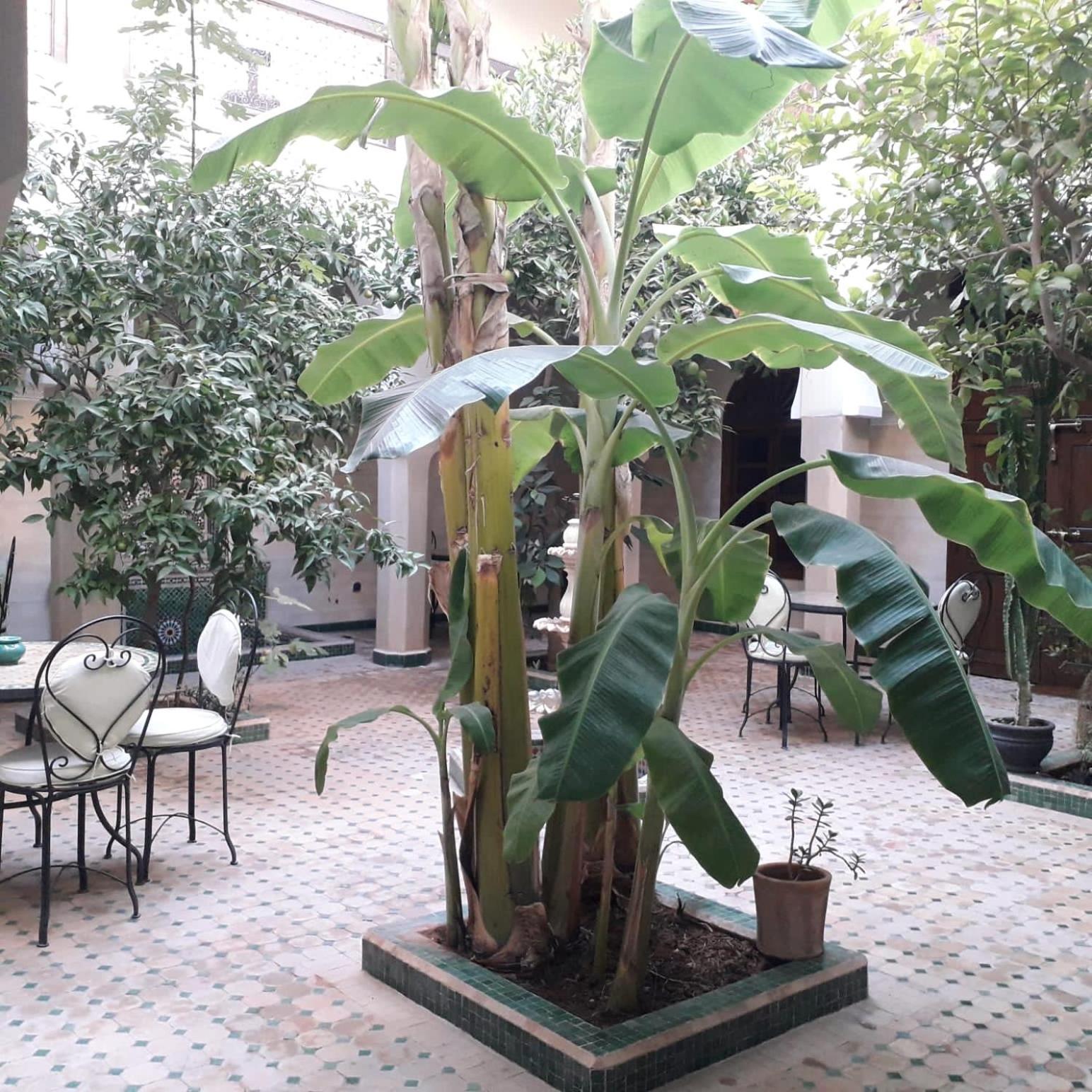 Riad Tidar By Phoenix Marrakesh Luaran gambar